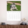 thumbnail image 3 of Siberian Husky - the archetype (Monthly Wall Calendar 2026 16.5 x 23.4 (open)), CALVENDO 14 Month Calendar, 3 of 9
