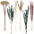 thumbnail image 3 of 85PCS Dried Flowers Bouquet for Decoration, Dried Pampas Grass Decor, Dried Reed Flowers for Boho Home Living Room Wedding Floral Arrangements Table Decor, 3 of 8