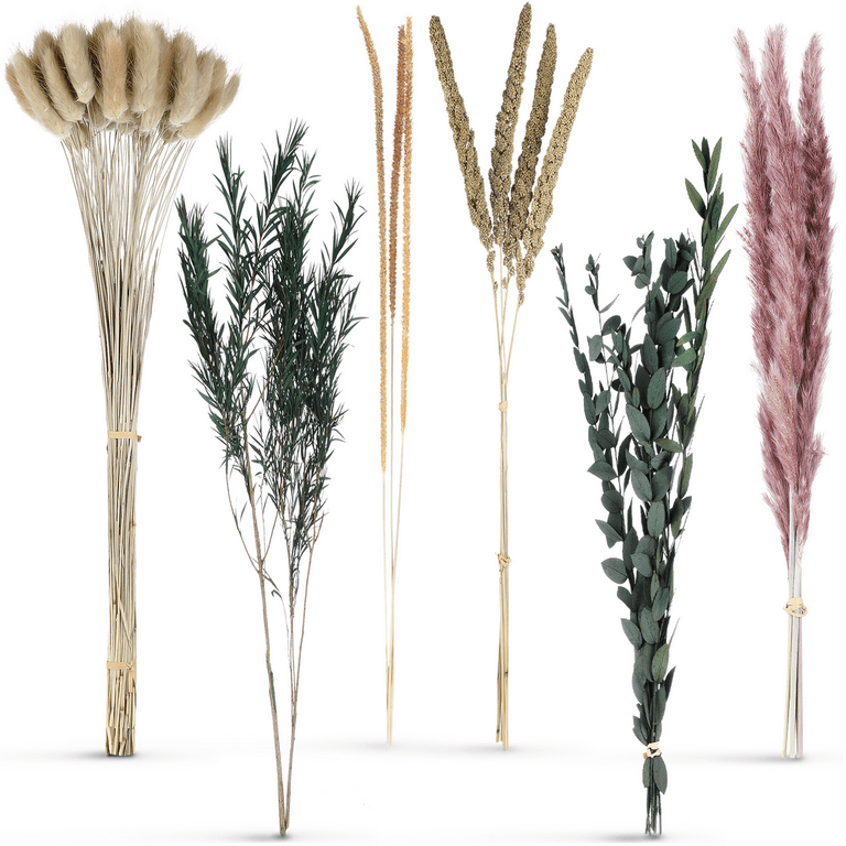 Pampas Grass Long Dry Plant Decorative Boho Fluffy Reed Wedding Table  Decoration Natural Flower Style Material Model Number Type - AliExpress
