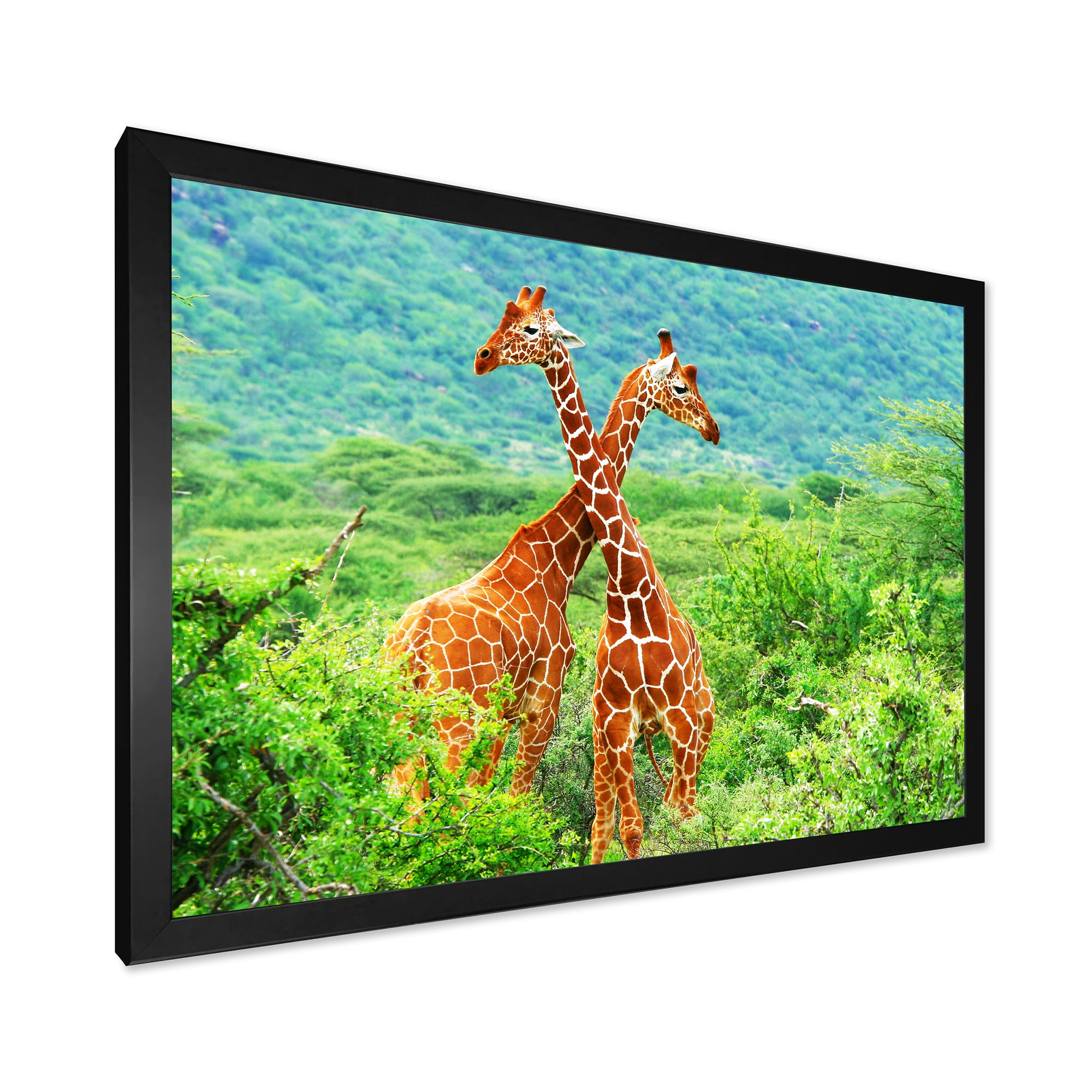Designart 'Two Giraffes Fighting In Lush Green Wild' Farmhouse Framed Art Print