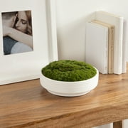 Better Homes & Gardens 8 Faux Moss in Ceramic Bowl