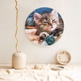 thumbnail image 5 of Wukai Playful Cat Print Decorative Plate for Display,Bone China Decorative Plate, Ceramic Dinner Plate with Stand, Vertical Ceramic Plate-6in, 5 of 6