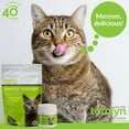 thumbnail image 3 of Tomlyn Immune Support Daily L-Lysine Chews for Cats and Kittens, Fish Flavored Lysine Supplement for Cats and Kittens to Support Immune Health, Normal Eye Function and Respiratory Health, 30ct, 3 of 6