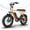 Orange, variant on Tamobyke T63 Electric Bike for Adults,750W Motor,36V/13Ah Battery,20"x4.0" Fat Tire E-Mountain Bike,UL2849