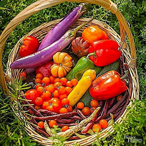 Nelson - All Vegetable Garden Plant Food, Granular Fertilizer, Multi-Purpose High Calcium Phosphorus Micronutrients in Ground, Gardens, Containers, & Greenhouses, NutriStar 12-14-1