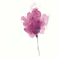 thumbnail image 3 of Vess, June Erica 15x15 Black Modern Framed Museum Art Print Titled - Expressive Blooms I, 3 of 5