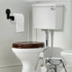 thumbnail image 3 of Baño Soporte de papel higiénico montado en la pared Toallero Ventosa Soporte de papel higiénico Soporte de rollo de papel ABS Organizador de tejidos para el hogar （Negro）, 3 of 5