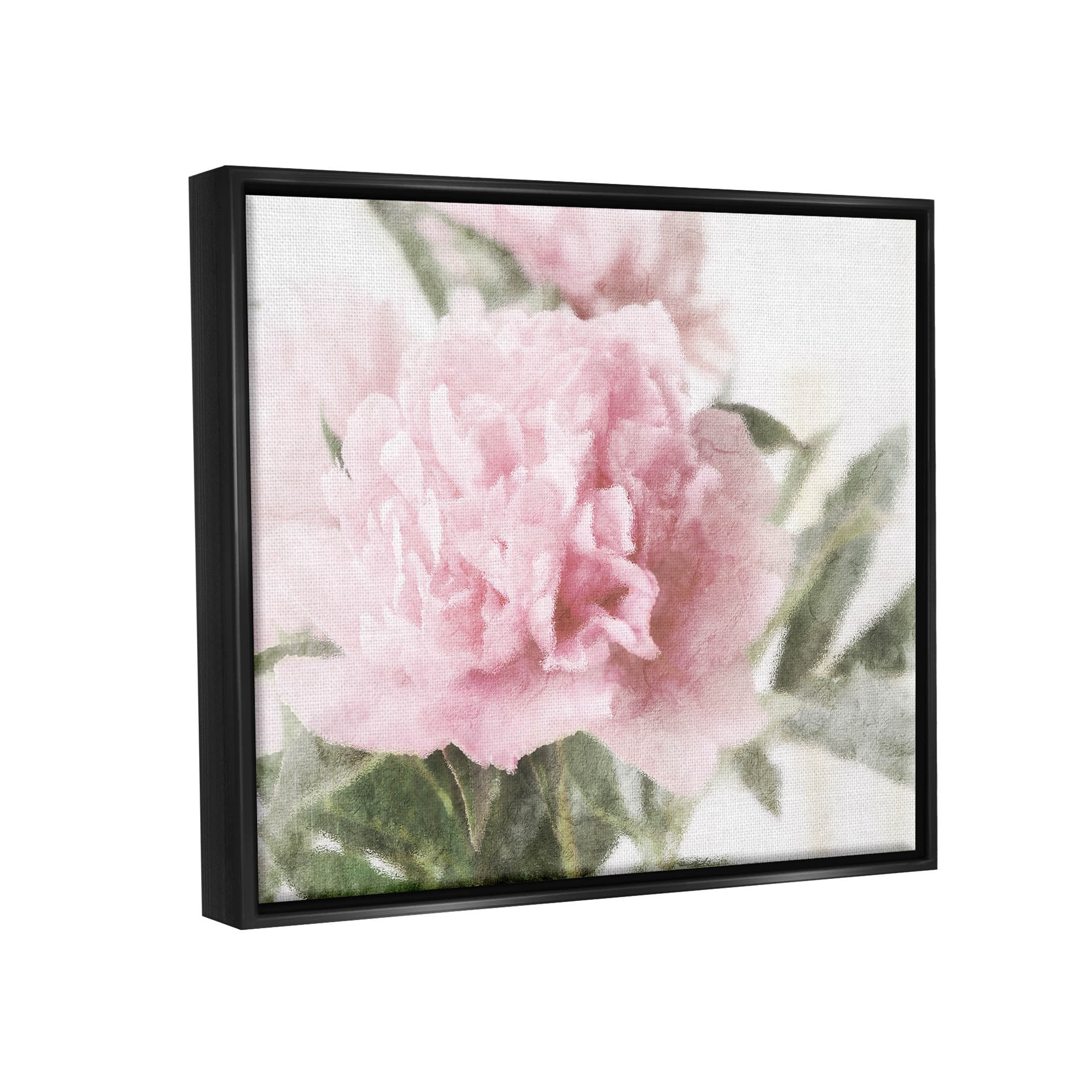 Soft Pink Carnation Blossom Botanical & Floral Graphic Art Jet Black Framed Art Print Wall Art