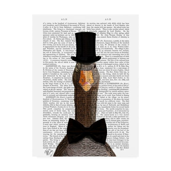 Trademark Fine Art 'Distinguished Goose' Canvas Art by Fab Funky
