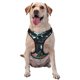 thumbnail image 1 of Balery Black Panther Floral Illustration Arnés para Perros Grandes Antitirones, Arnés con Correa para Gato, Arnés Tipo Chaleco para Perros Pequeños-Medium, 1 of 6