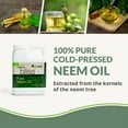 thumbnail image 2 of Plantonix Neem Bliss Oil 100% Pure Cold Pressed Neem Oil OMRI Listed - 16 Fl Oz, 2 of 5