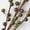 Green, variant on Factory Direct Craft Creamy White Artificial Berry Stem 22 Inch, 12 Count for Floral Arrangements