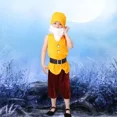thumbnail image 5 of Ropa de cosplay de carnaval Disfraz de los siete enanitos para niños Disfraces de Navidad para niños Halloween, 5 of 5