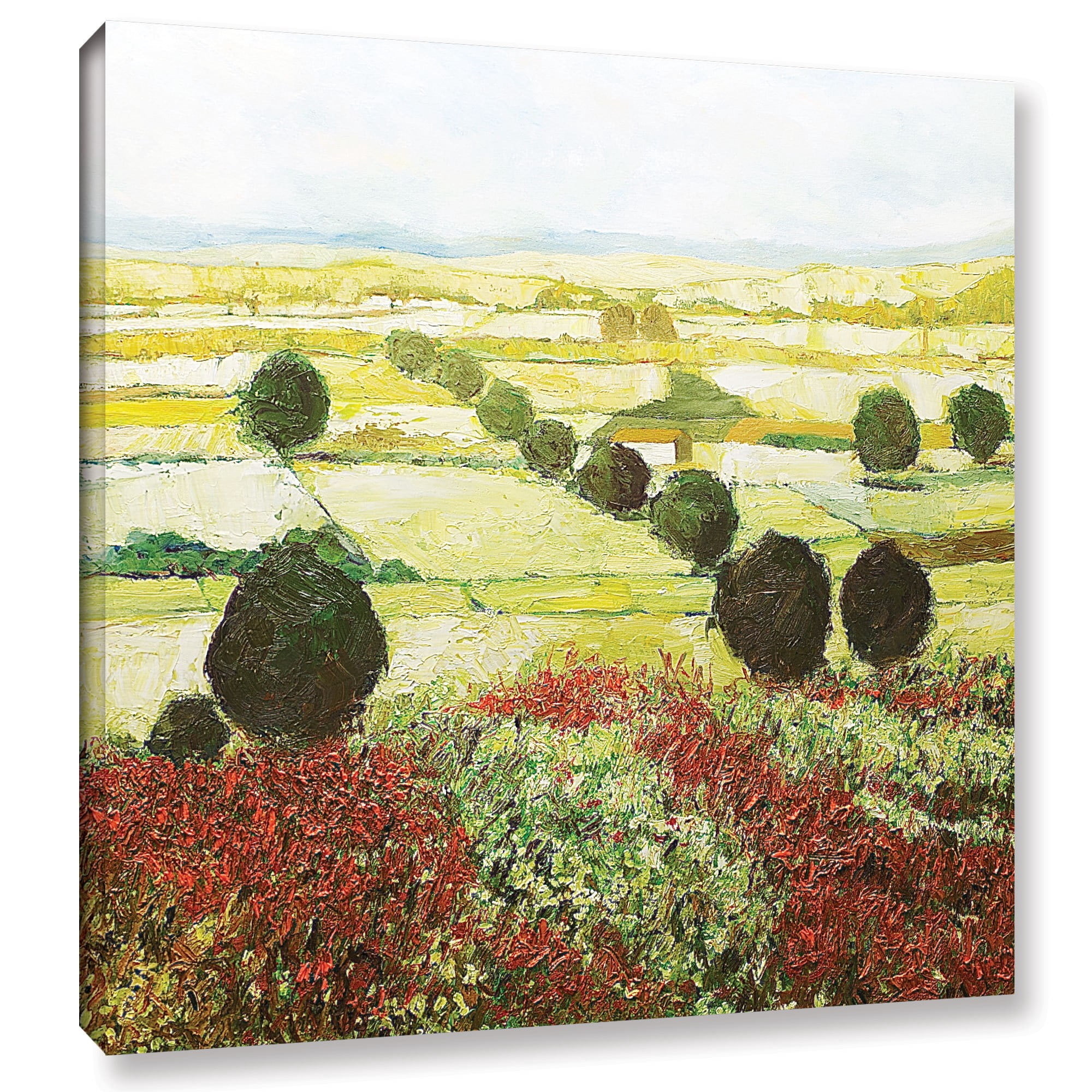 ArtWall Allan Friedlander "Wildflower Valley" Gallery-wrapped Canvas