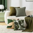 thumbnail image 3 of AUQ 2Pcs Pillow Covers,Velvet Throw Throw Pillowsfor Couch,Soft Velvet Throw Pillows,Style 12, 3 of 3