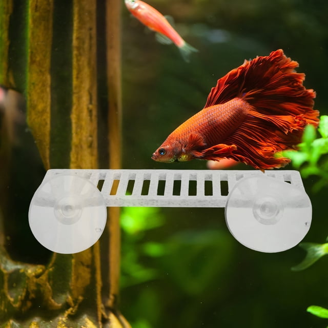 EXHUMKY Accesorio Acuático Betta Con De Descanso Detallada Para Acuario Y Montaje Sencillo