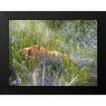 thumbnail image 2 of Popcorn 14x12 Black Modern Framed Museum Art Print Titled - Sedimentations: Rock In The Tall Grass, 2 of 5