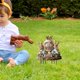 thumbnail image 5 of Estaca de jardín, adorno de Pascua, diseño de conejo, letrero festivo de césped con un toque vintage para patios, céspedes, jardines y decoración de primavera de Pascua, 5 of 6