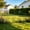 🌺Black_New#448, variant on 2 Pack Stackable Plastic Garden Fence, Decorative Picket Edging for Flowerbeds, Lawns, and Climbing Plant Support