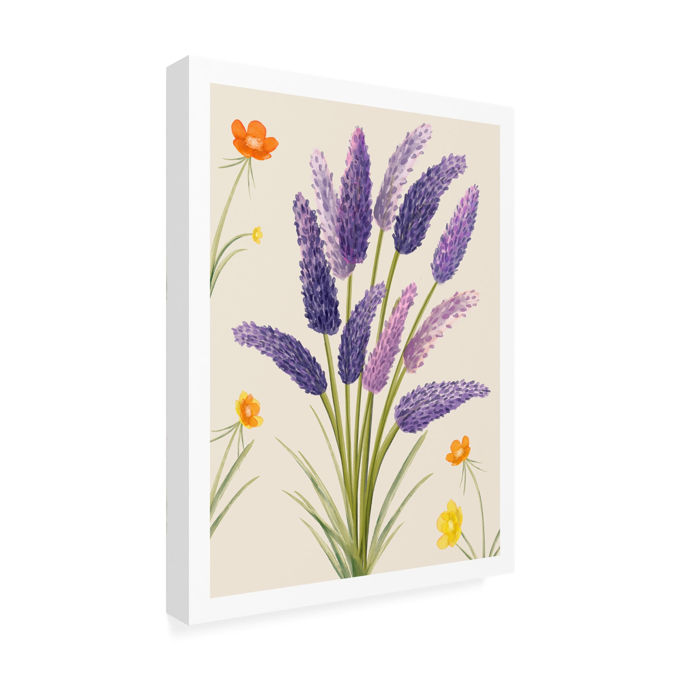 Trademark Fine Art Emel Tunaboylu Rectangle 9 Canvas Wall Art