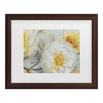 Trademark Fine Art 'Sunshine' Canvas Art by Lisa Audit