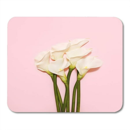 KDAGR March Colorful Lily White Calla Lilies Pink Top View Green Plant Beautiful Mousepad Mouse Pad Mouse Mat 9x10