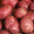 thumbnail image 1 of Red Potatoes, 10 lb, 1 of 2