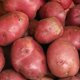 thumbnail image 1 of Red Potatoes, 10 lb, 1 of 1