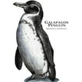 thumbnail image 3 of CafePress - Galapagos Penguin Mug - 11 oz Ceramic Mug - Novelty Coffee Tea Cup, 3 of 6