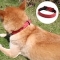 thumbnail image 3 of Collar de cuero para perros Gseagtia: el mejor collar de cuero de grano completo, 3 of 5