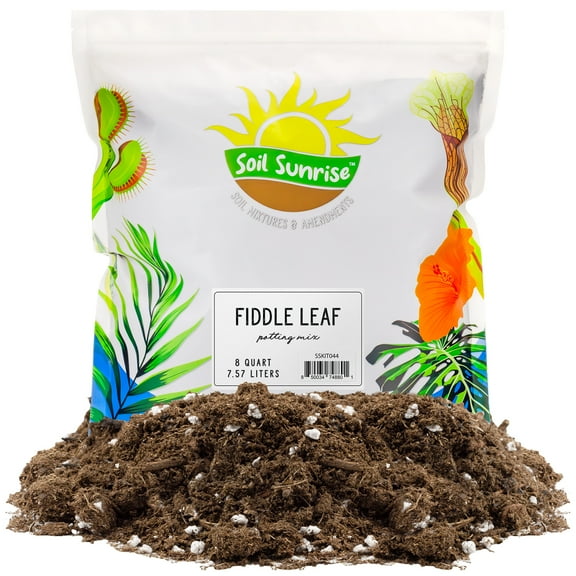 Premium Fiddle Leaf Fig Tree Soil (8 Quarts) - Expert Formula for Vibrant Growth - Nutrient-Rich Potting Mix, Specifically Designed for Healthy Indoor, Outdoor, and Potted Fiddle Fig Plants
