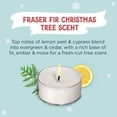 thumbnail image 2 of Velas para velas de té Santa's Naturals Fraser Fir, paquete de 36, 2 of 7