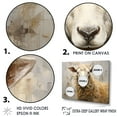 thumbnail image 3 of Designart "Comfortable Sheep In Beige III" Sheep Canvas Wall Art, 3 of 7