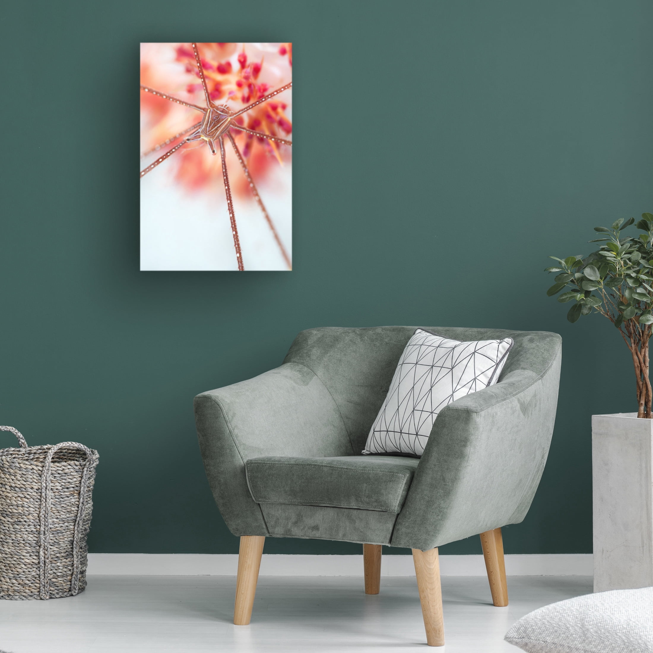 Canvas Wall Art - Andrey Narchuk 'Snow Flower' Wall Art for Living Room, Bedroom, or Office D?cor by Trademark Fine Art - 16 x 24 Inches