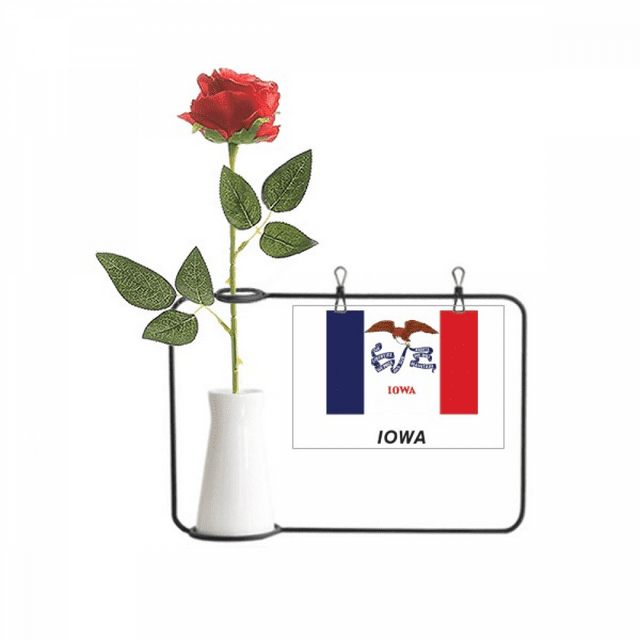 American State Flag Contour Iowa Artificial Rose Flower Hanging Vases Decoration Bottle
