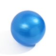 thumbnail image 1 of Total Body Balance Ball Kit - Includes Anti-burst Stability Exercise Yoga Ball, Air Pump Red 55cm, 1 of 5