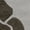 Light Grey, variant on SAFAVIEH Soho Brisbane Abstract Wool Area Rug, Beige/Multi, 2' x 3'