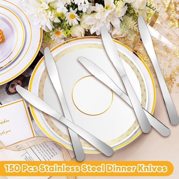 150 Pcs Dinner Knives Butter Knife Bulk 8.3 Inches Stainless Steel Knives Silverware Cutlery Knifes for Table Home Restaurant Kitchen