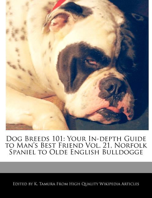 olde english bulldog 101
