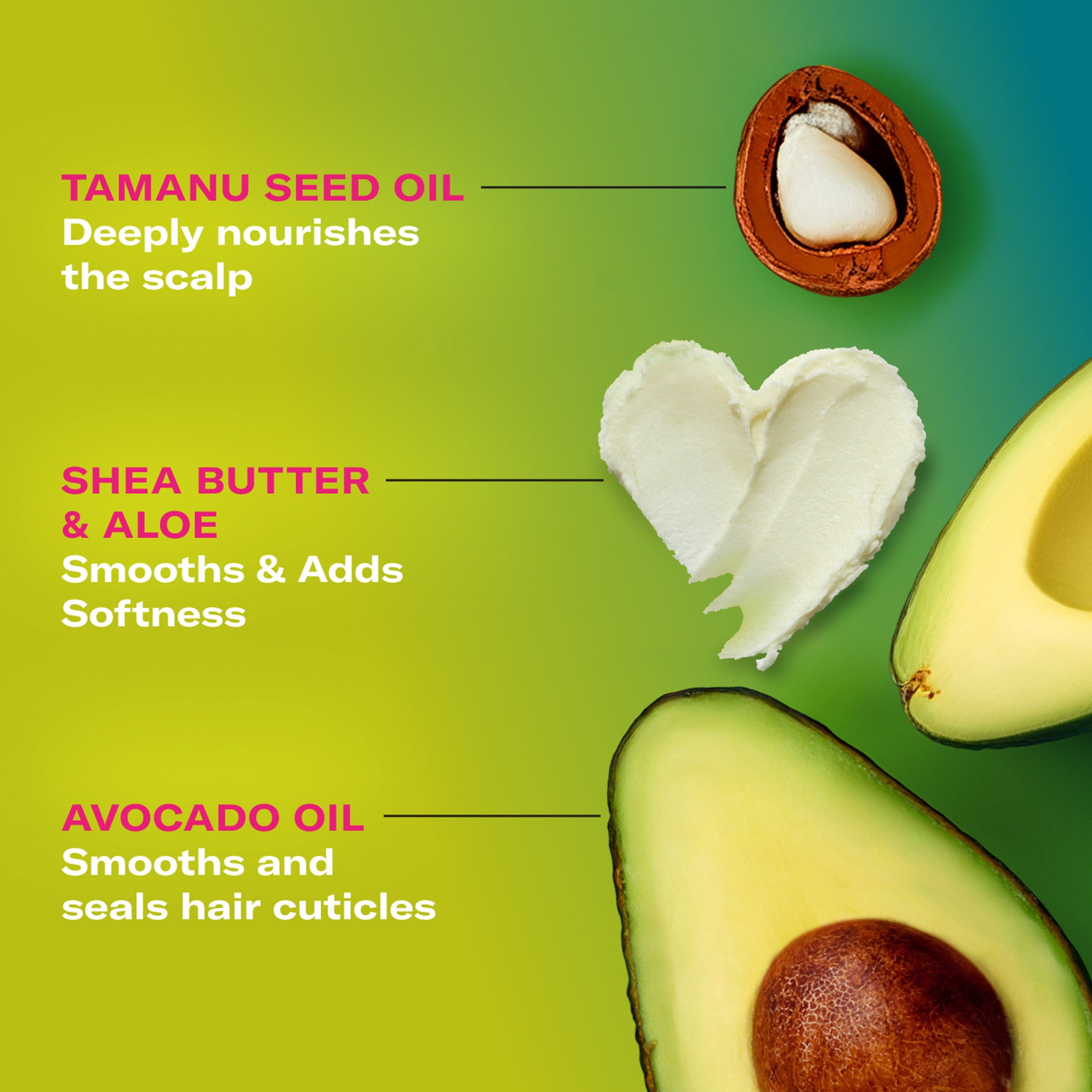 Mielle Avocado and Tamanu Anti-Frizz Curl Perfector - 12 oz