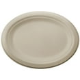 thumbnail image 1 of World Centrics 12 in Oval Plate - Unbleached Plant Fiber - Compostable - Case of 500, 1 of 1