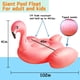 thumbnail image 4 of Pool Float TURNMEON 102 con forma de flamenco gigante inflable para 2 a 4 personas, 4 of 5