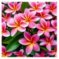 thumbnail image 3 of Pink Plumeria Live Plant Cuttings Hawaiian Tropical Plants 9-12 inches long 1 Pack Tyslan, 3 of 8