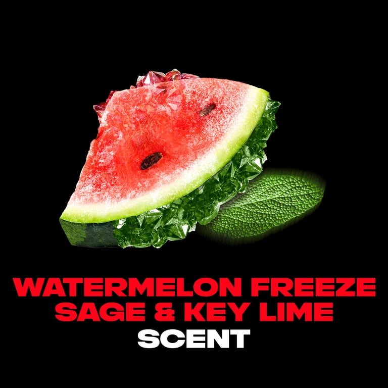 AXE Fine Fragrance Collection Deodorant Stick Watermelon Freeze 72