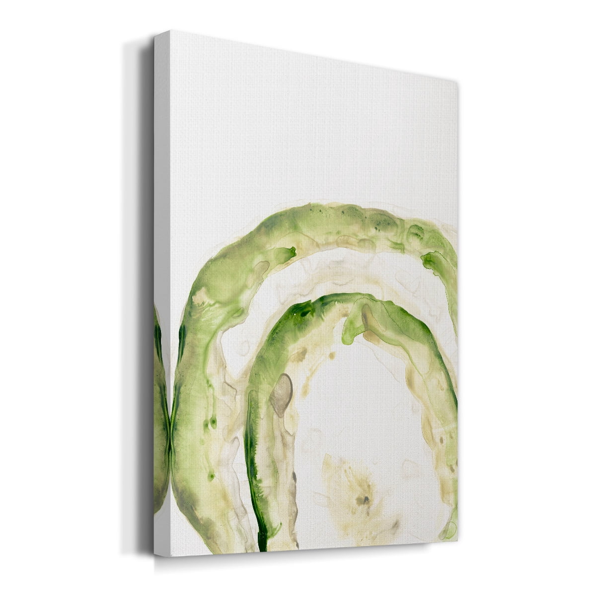 Lichen Halo IV Premium Gallery Wrapped Canvas - Ready to Hang