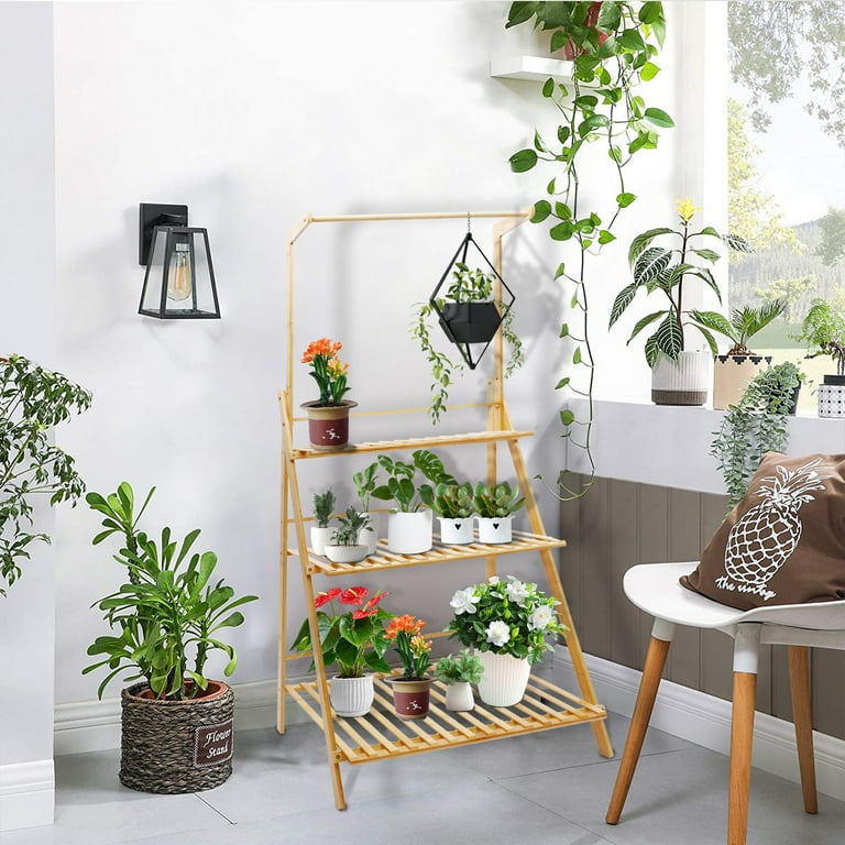 indoor pet friendly plants Pet-Friendly Plant Parent Set with Planter - 3 Cream Planter main image 1