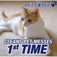 thumbnail image 3 of Espuma Limpiadora para Alfombras Resolve Pet Expert Paquete de 3, 3 of 6