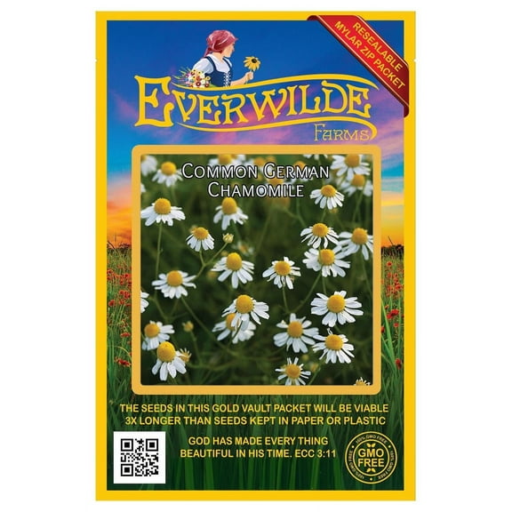 Everwilde Farms - 1000 Common German Chamomile Herb Seeds - Gold Vault Seed Packet