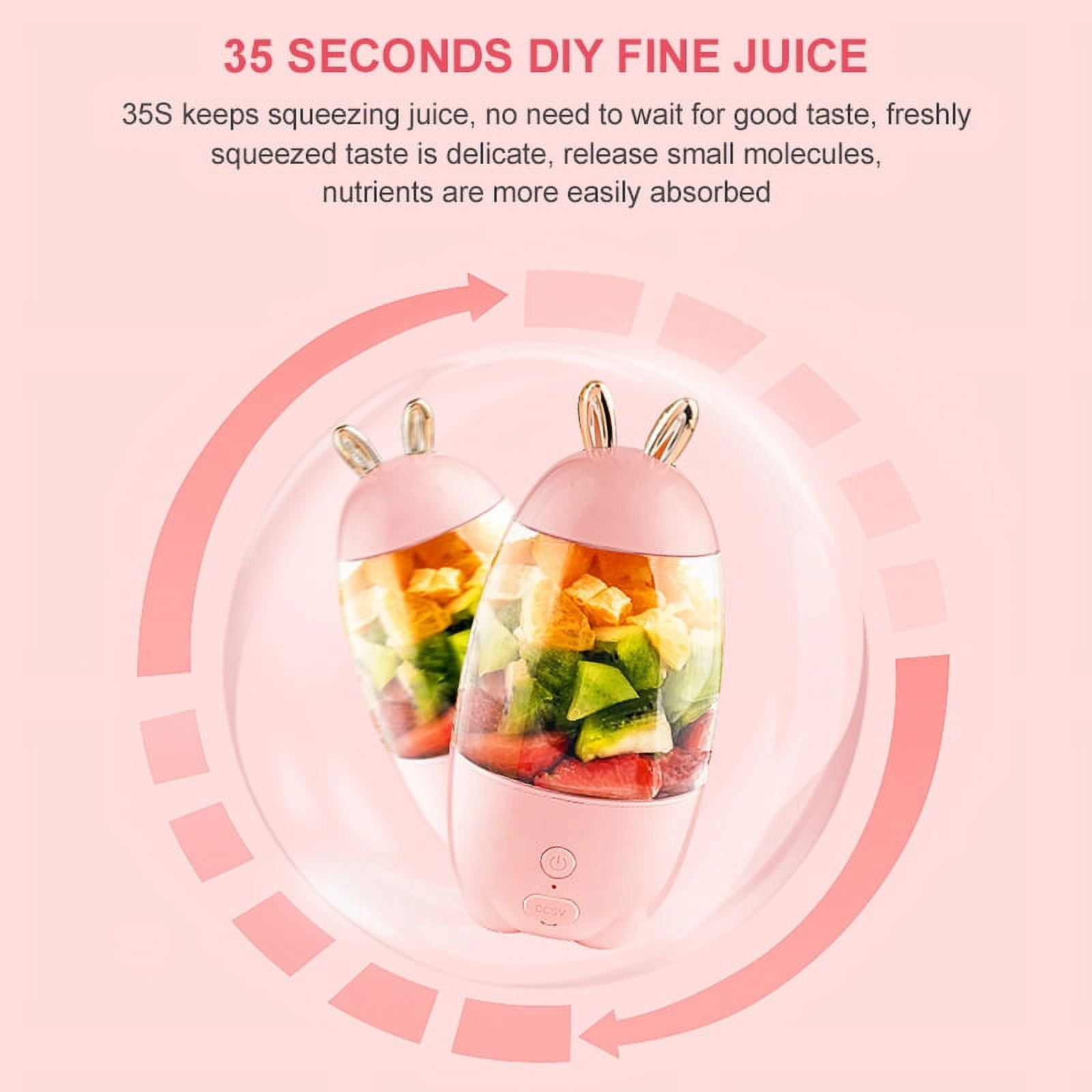 POINTERTECK 400ml Portable Blender, Personal Eletric USB Rechargeable Juicer Blender forFruit, Smoothie, Baby Food Mixing Machine, 1500mAh Battery(Pink)