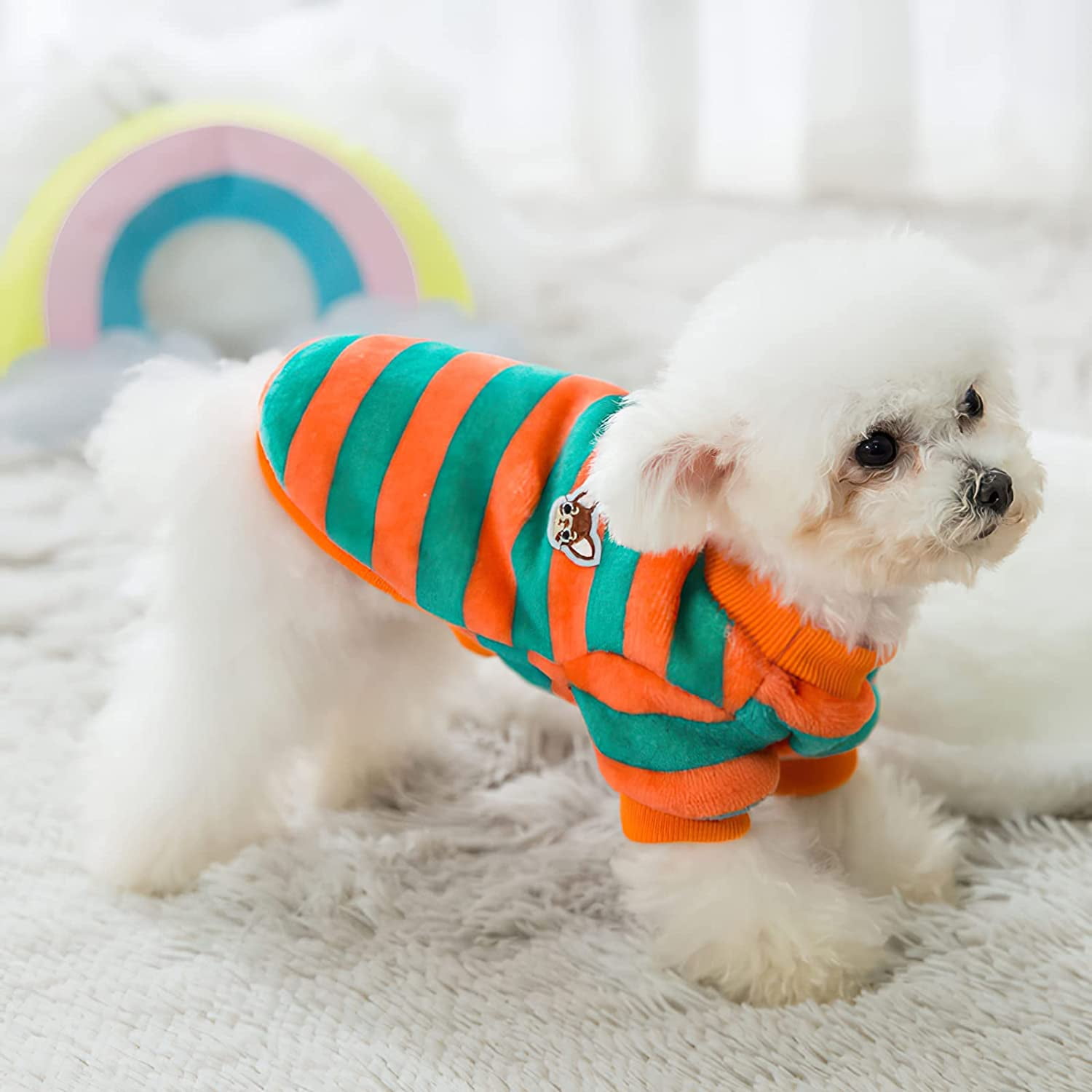 DOG SHIRTS DOG SWEATERS DOG JACKETS AND LICENSED unitedhospital.in
